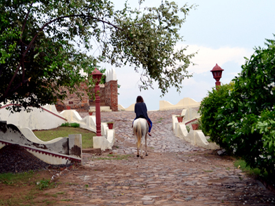 Horse Riding In Surajgarh